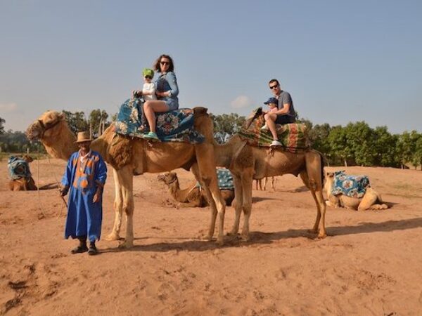 Camel Ride & Dinner in Agadir