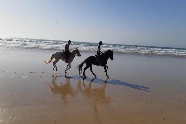 Horse Ride & Dinner in Agadir