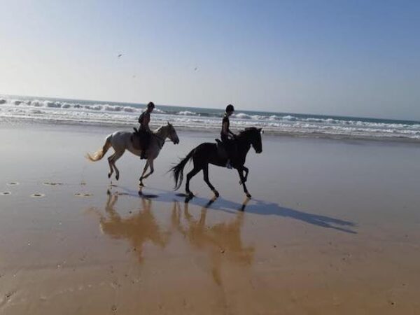 Horse Ride & Dinner in Agadir
